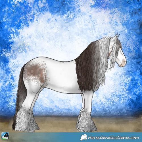 Horse Color:White Spotted Liver Chestnut Ice Sabino Rabicano 