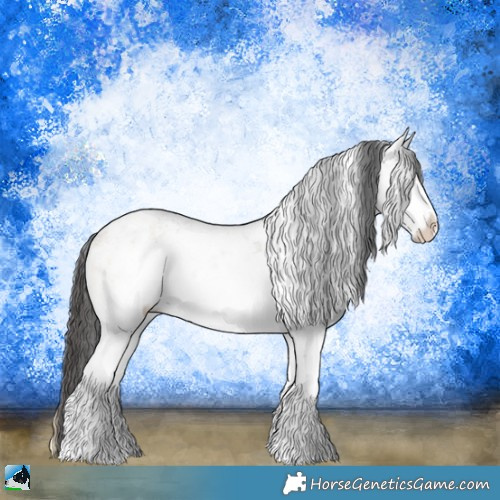 Horse Color:White Spotted Buckskin Ice Onyx Sabino Rabicano