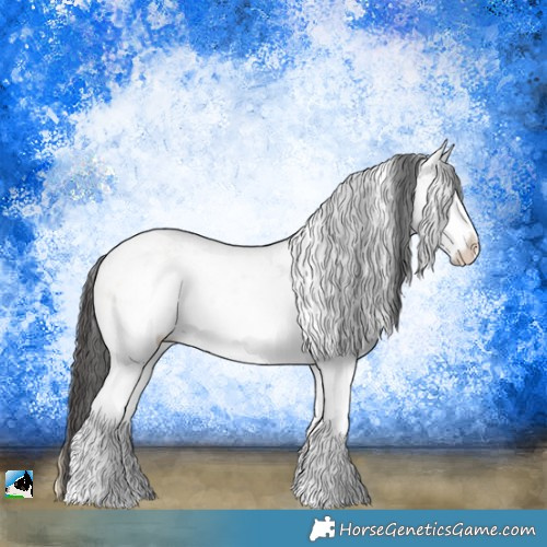 Horse Color:White Spotted Buckskin Ice Onyx Sabino Rabicano