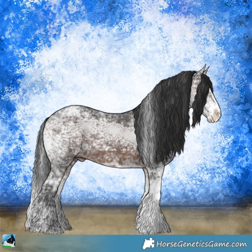 Horse Color:White Spotted Brown Ice Sabino Rabicano 