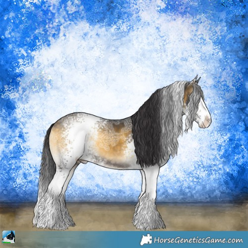 Horse Color:White Spotted Buckskin Ice Onyx Sabino Rabicano 