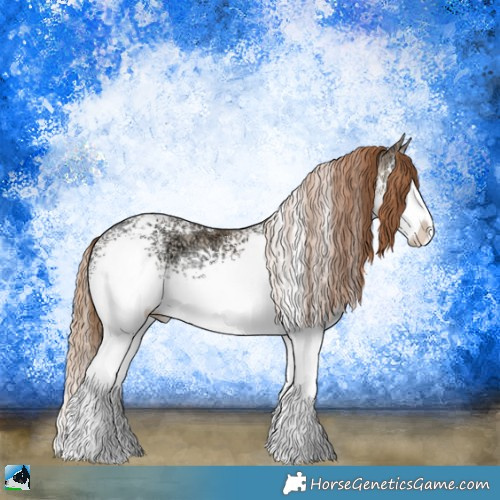 Horse Color:White Spotted Buckskin Ice Pearl Onyx Splash 