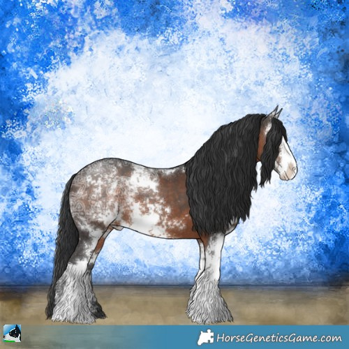 Horse Color:Brown Ice Sabino 