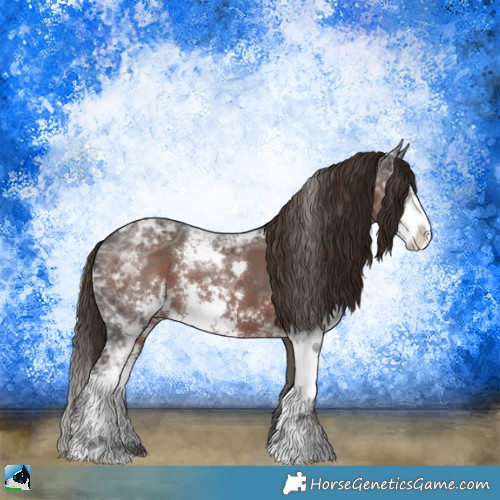 Horse Color:Liver Chestnut Ice Sabino 