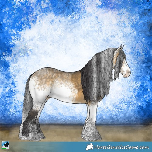 Horse Color:White Spotted Buckskin Ice Dun Sabino Rabicano 