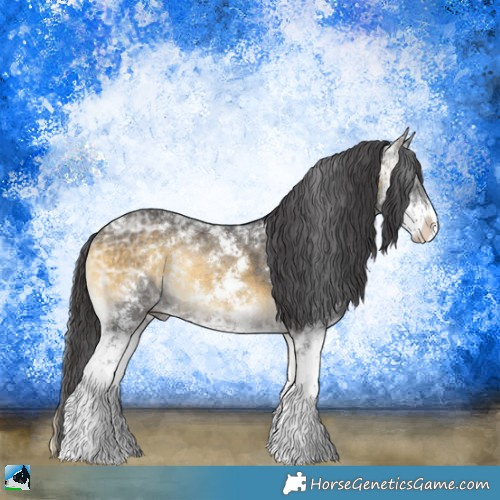 Horse Color:Buckskin Ice Onyx Sabino Rabicano 