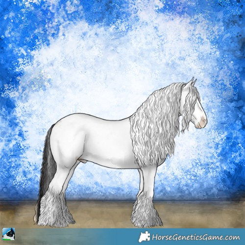 Horse Color:White Spotted Buckskin Ice Onyx Rabicano 