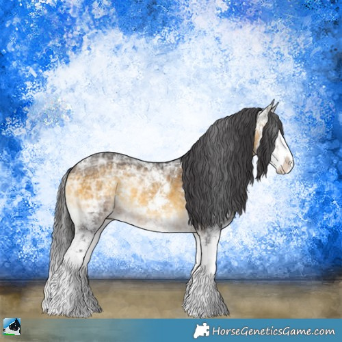 Horse Color:Buckskin Ice Onyx Sabino Splash 