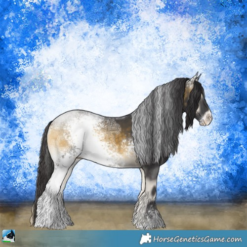 Horse Color:White Spotted Buckskin Ice Onyx Sabino Rabicano 