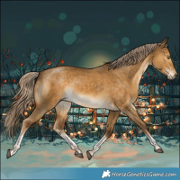Horse Color:Chocolate Palomino Dun Sabino Tobiano