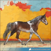 Horse Color:Liver Chestnut Tobiano 
