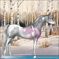 Horse Color:Silver Grullo Chinchilla Sabino Tobiano Brindle 