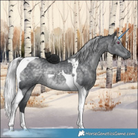 Horse Color:Silver Black Chinchilla Tobiano 