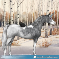 Horse Color:Silver Black Chinchilla Sabino Tobiano 