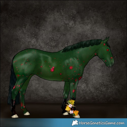 Horse Color:ERROR: UNKNOWN ANOMALY