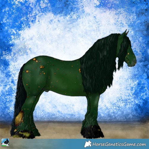 Horse Color:Unknown 