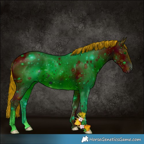 Horse Color:ERROR: UNKNOWN ANOMALY