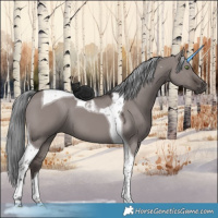 Horse Color:Platinum Liver Red Dun Tobiano