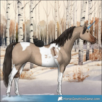 Horse Color:Liver Red Dun Tobiano