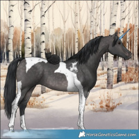 Horse Color:Platinum Brown Dun Tobiano