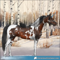 Horse Color:White Spotted Brown Tobiano 