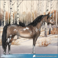 Horse Color:White Spotted Brown Dun Tobiano