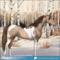 Horse Color:Brown Pearl Dun Tobiano Brindle 