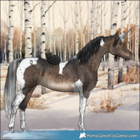 Horse Color:Brown Dun Tobiano Brindle 
