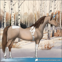 Horse Color:Brown Pearl Dun Tobiano