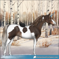 Horse Color:Liver Chestnut Tobiano