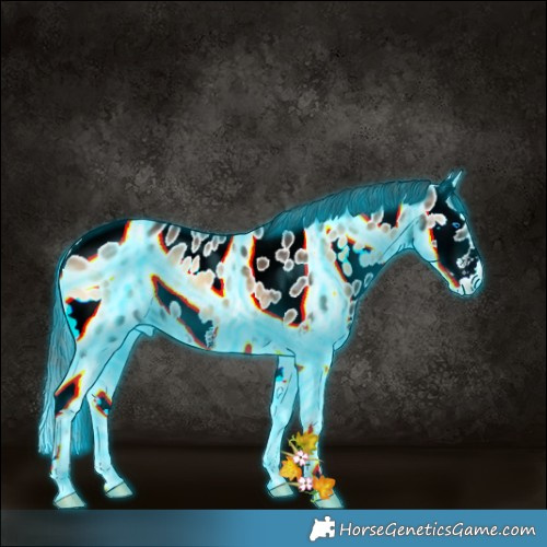 Horse Color:Thunderstruck Liver Red Onyx Ice Splash Appaloosa 