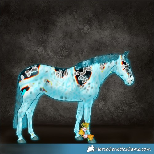 Horse Color:Thunderstruck Liver Red Onyx Ice Sabino Appaloosa