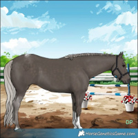 Horse Color:Silver Black Tobiano