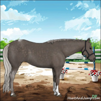 Horse Color:Silver Black Tobiano 