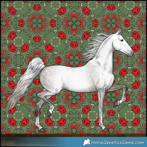 Horse Color:Gray Liver Red Dun Sabino 