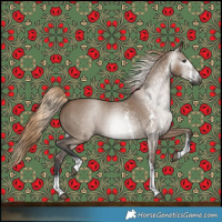 Horse Color:Gray Liver Red Dun Sabino