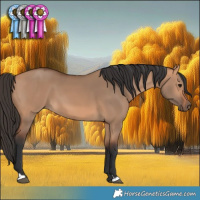 Horse Color:Bay Dun