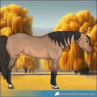 Horse Color:Bay Dun 