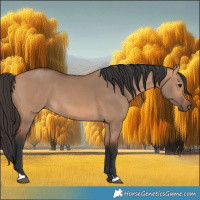 Horse Color:Bay Dun