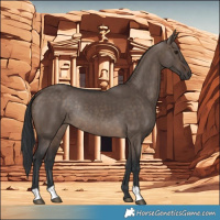Horse Color:Brown Dun Rabicano