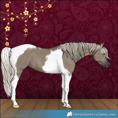Horse Color:Gray Silver Grullo Tobiano