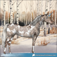 Horse Color:White Spotted Liver Red Dun Mushroom Rabicano Brindle