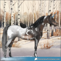 Horse Color:White Spotted Brown Mushroom