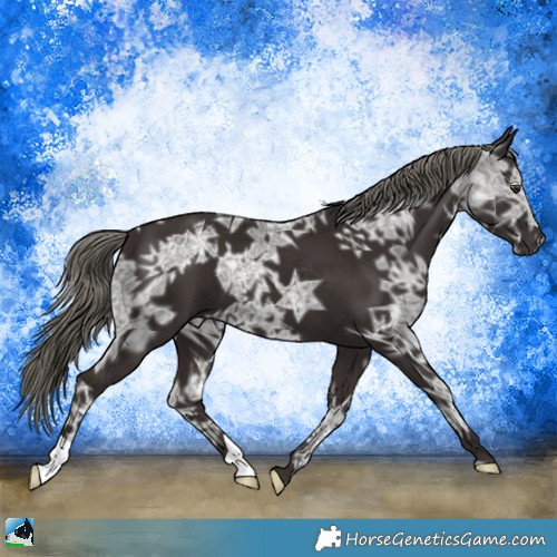 Horse Color:Liver Chestnut Ice Mushroom 