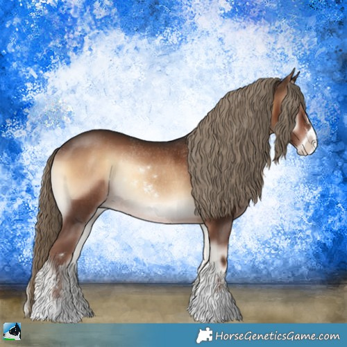 Horse Color:Liver Red Onyx Sabino Rabicano 