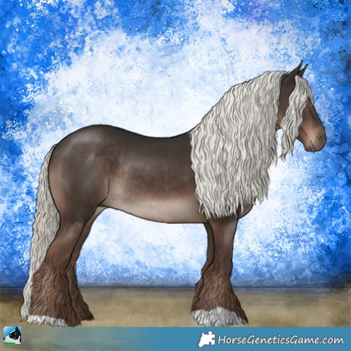 Horse Color:Liver Chestnut Mushroom Rabicano 