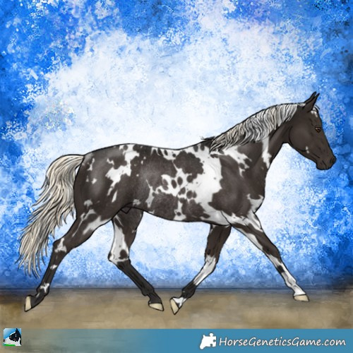 Horse Color:White Spotted Liver Chestnut Mushroom Rabicano 