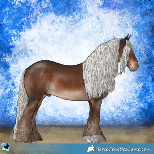 Horse Color:Liver Chestnut Mushroom Rabicano 