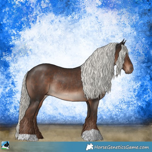 Horse Color:Liver Chestnut Mushroom Rabicano 