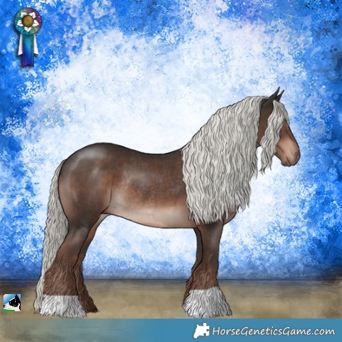 Horse Color:Liver Chestnut Mushroom Rabicano 